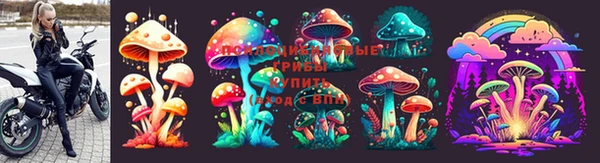 прущие грибы Бронницы