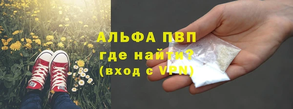 прущие грибы Бронницы