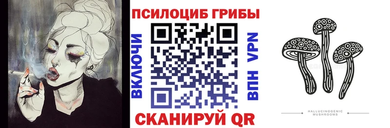 KRAKEN как зайти  Лысьва  Псилоцибиновые грибы Psilocybine cubensis 